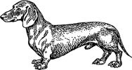 Tattoo design 6