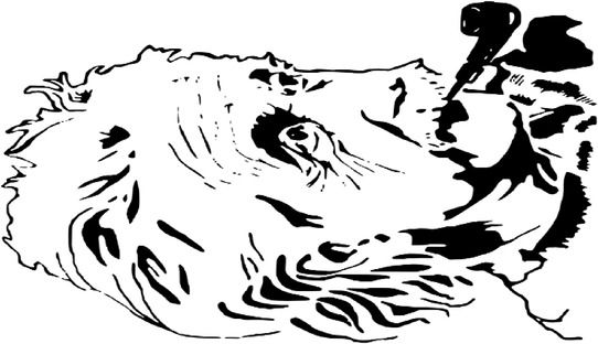slide image